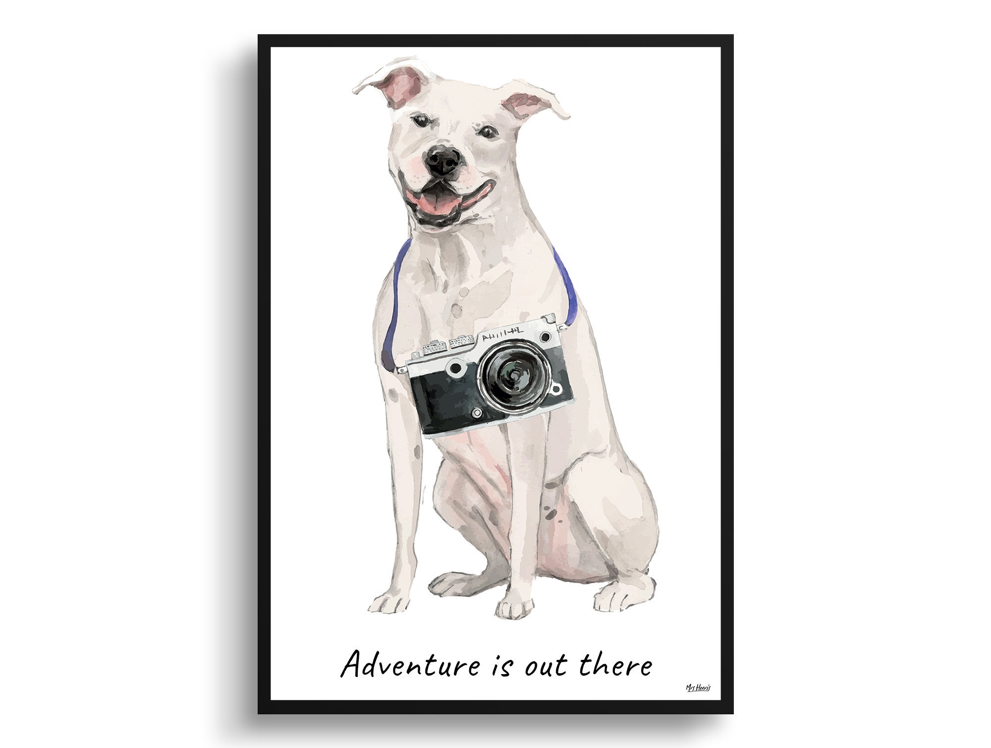 Adventure Is Out There White American Staffordshire Terrier Dog Print Illustration. Framed & Un-Framed Wall Art Options. Personalised Name