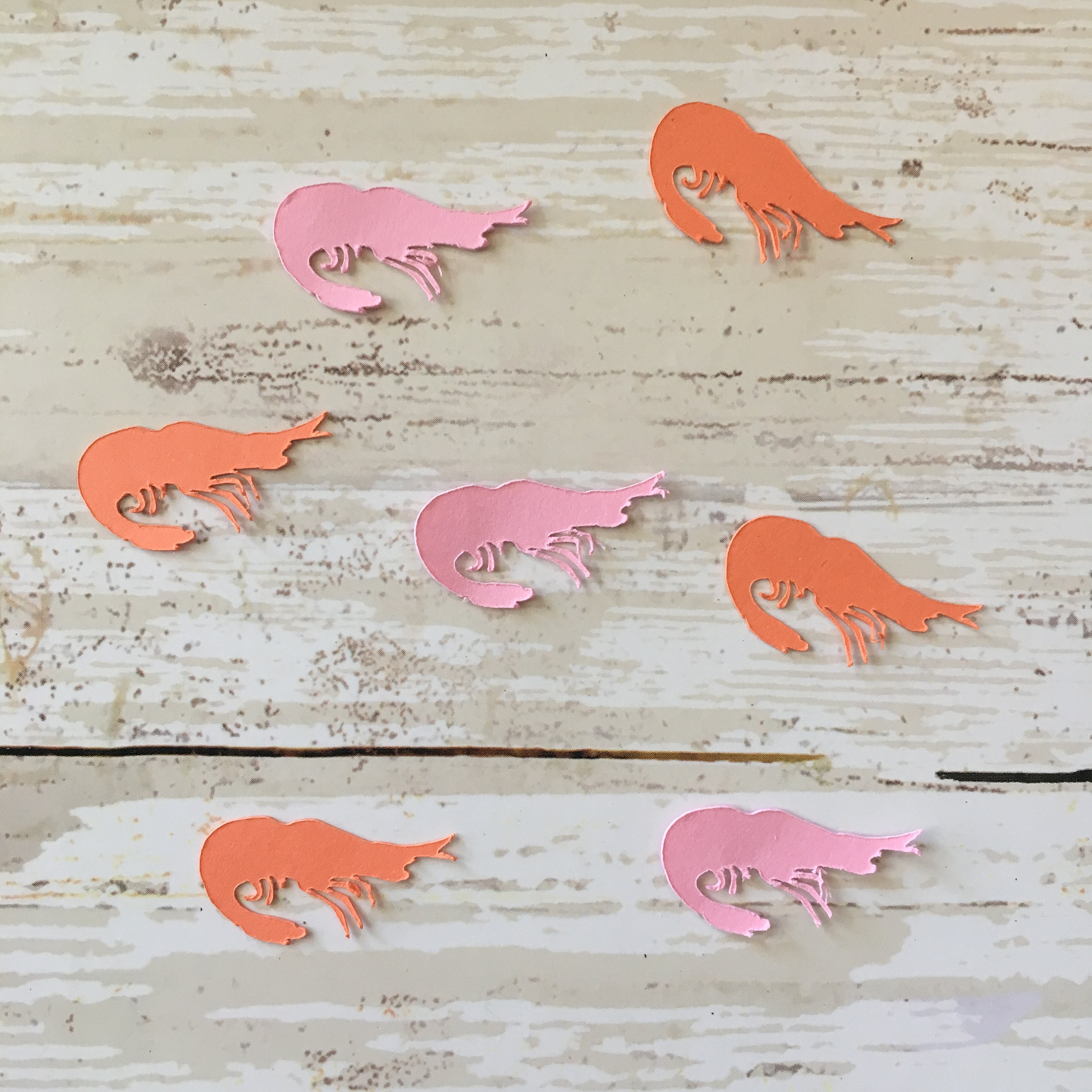 Shrimp Confetti | Cut Out Decoration Seafood Animal Ocean
