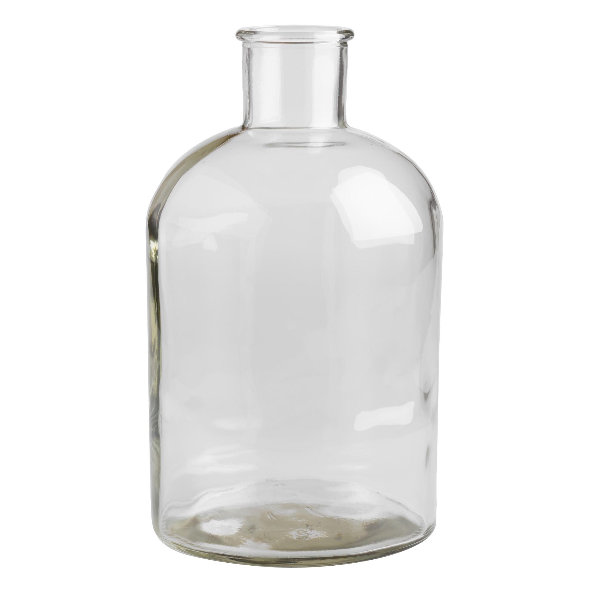 Wide Neck Clear Glass Vase by World Market