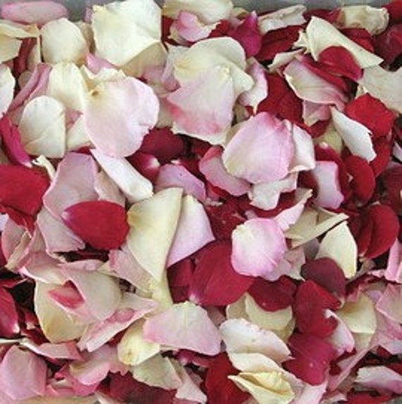 Bridal Bliss Blend. Rose Petals. Wedding Decoration. Flower Petals.natural Confetti. Real Petals.flower Girl Petals.50 Cups. Petals.usa