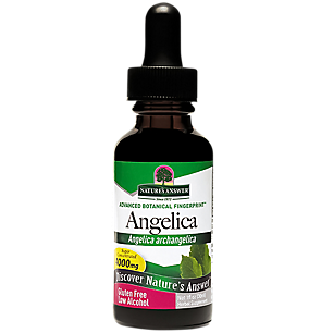 Angelica Root - Super Concentrated with Low Alcohol - 4,000 MG Per Serving (1 fl oz)