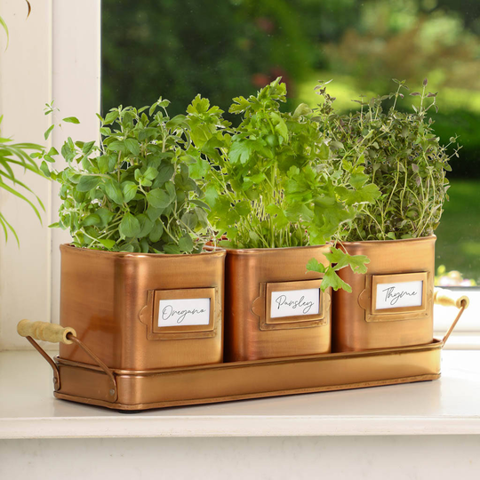 Buy Copper Herb Plant Pot Trio And Tray Online
