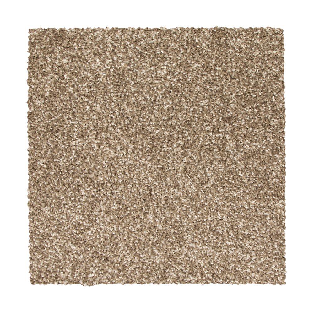 STAINMASTER Vibrant blend II Mushroom Carpet Sample Polyester in Brown | STP33-L008-0808