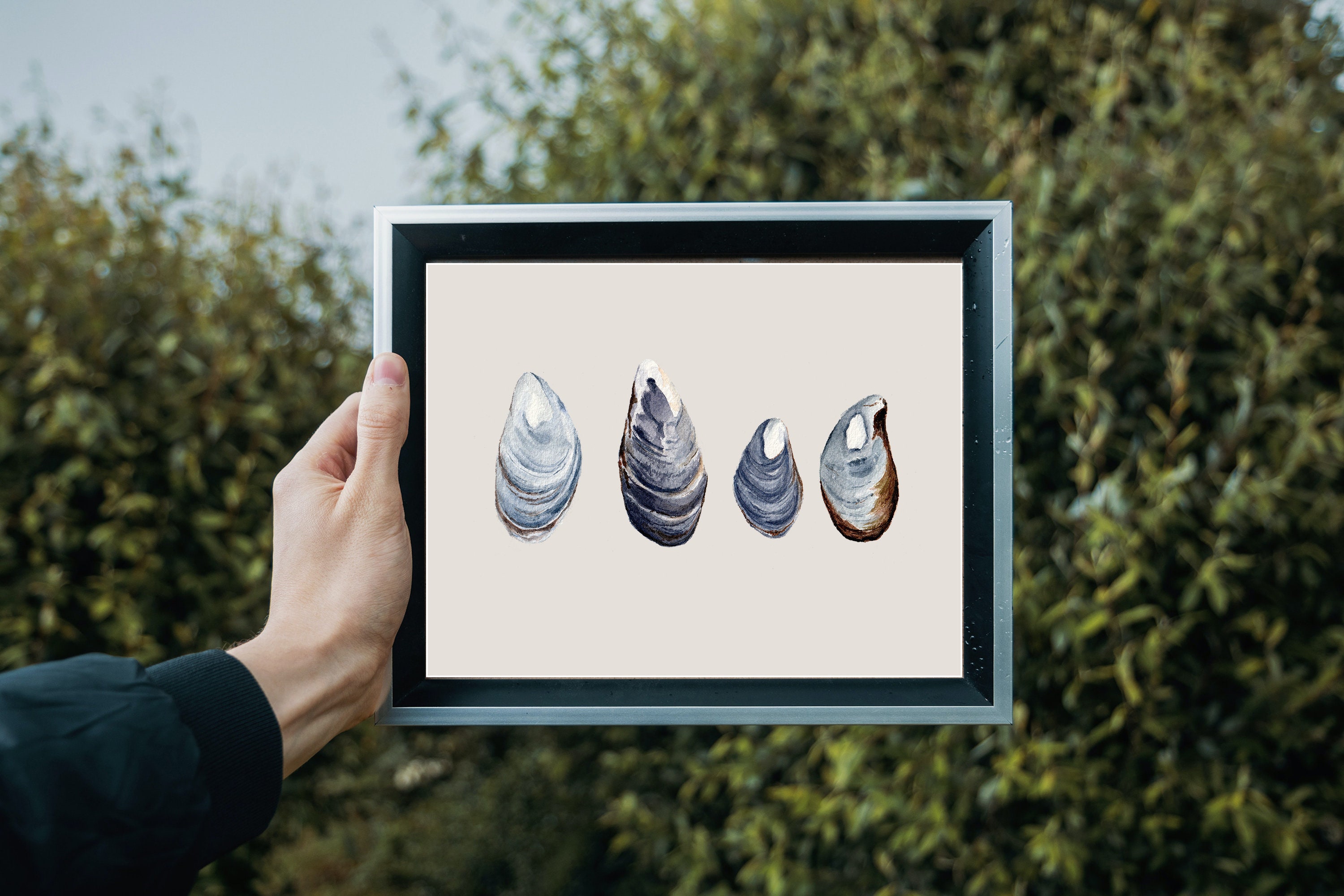 Oyster Seashell Collection Watercolor Print Ready To Frame // Beach Painting Nautical