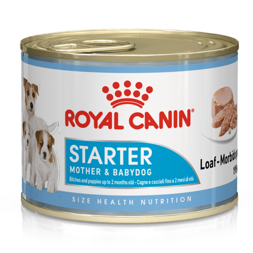Royal Canin Starter Mousse Mother & Babydog - 12 x 195g