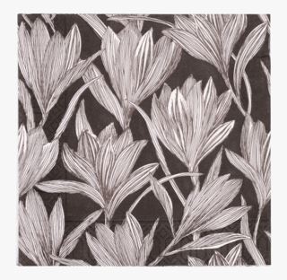 Linear-Iris H paperiservetti musta