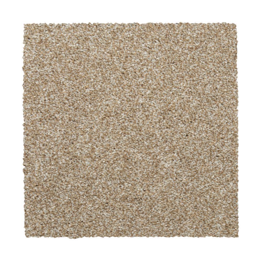 STAINMASTER Vibrant Blend I NUTMEG Carpet Sample Polyester in Brown | STP32-L010-0808