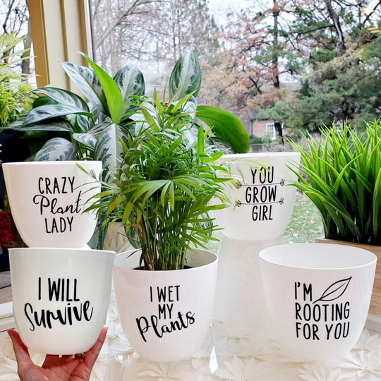Buy Funny Planters - Flower | Plant Succulent Pots Online