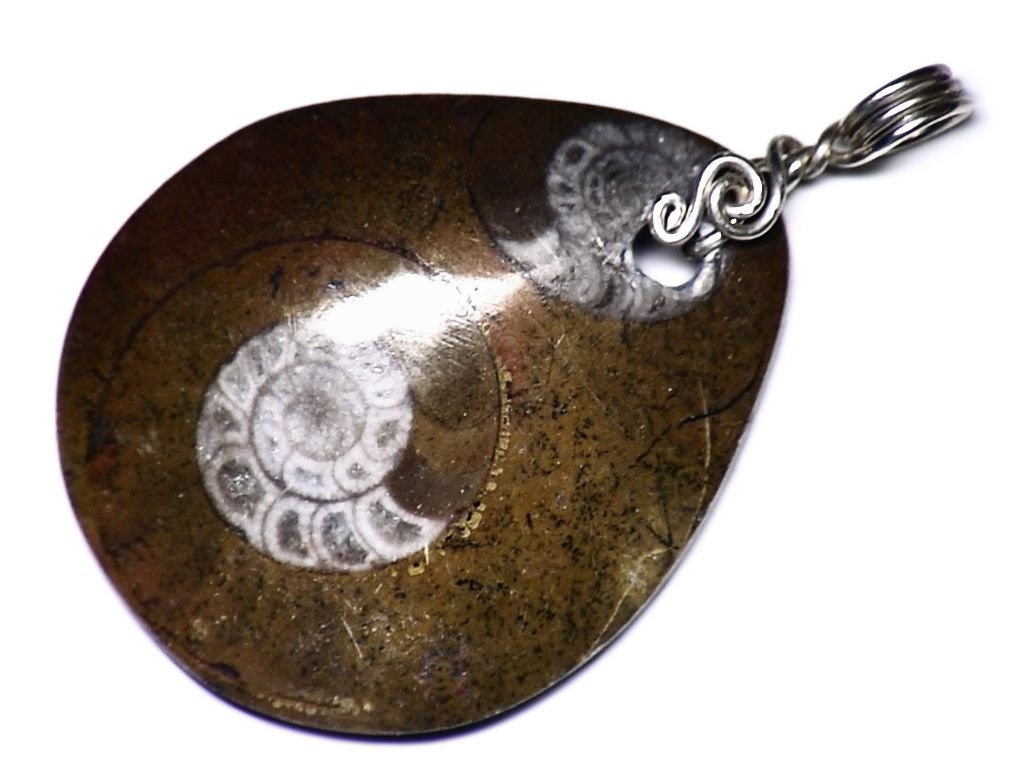 Nerdy Ammonite Pendant in Sterling Silver, Double Fossil Jewelry, Real Slice Wire Wrap, Great Ancient Gift For Nerds