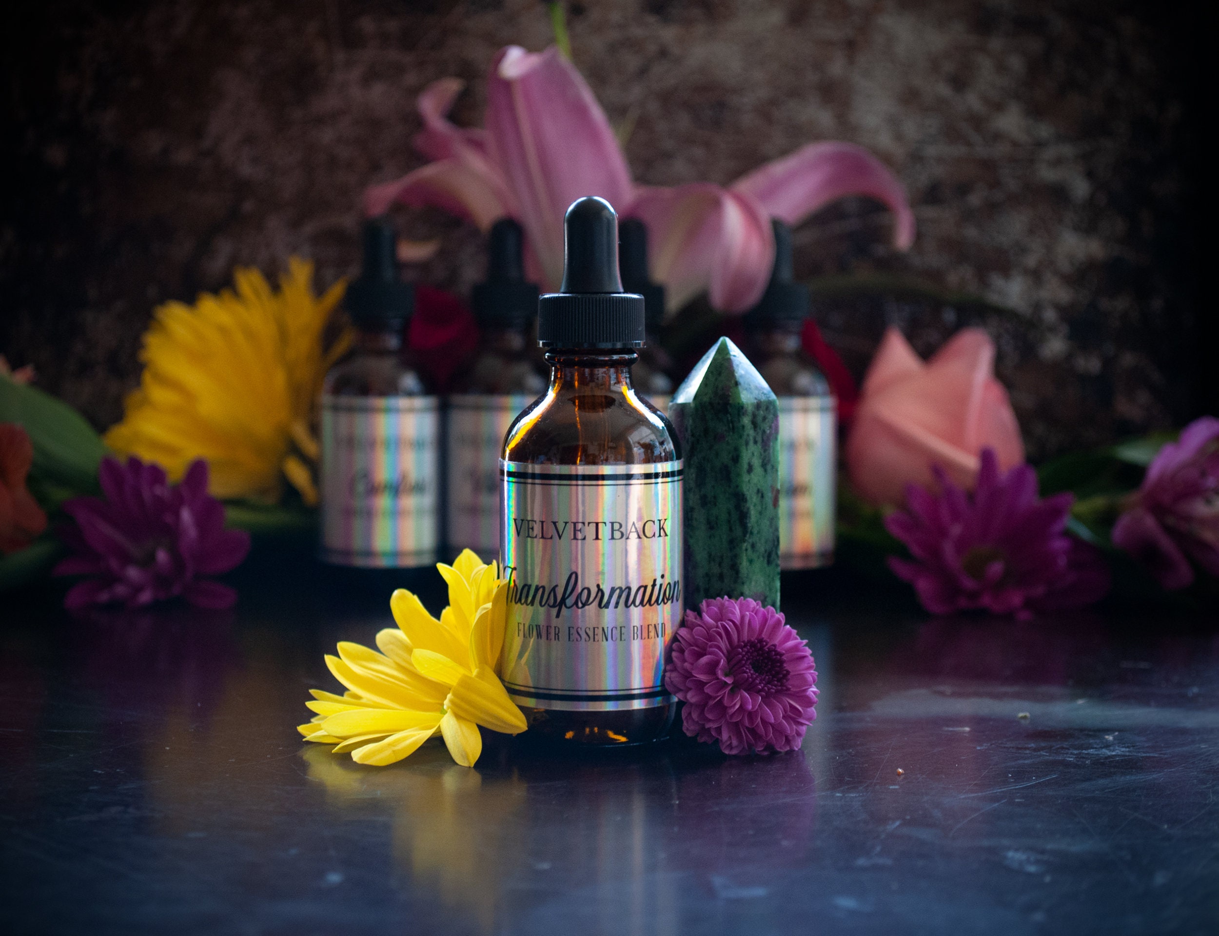 Transformation Flower Essence Blend + Guidebook & Plant Ally Talisman Card Pull | Cilantro Columbine Moonflower Nasturtium Phlox