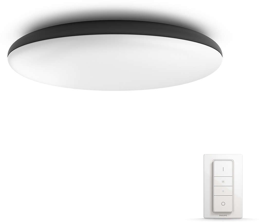 philips hue roof lamp