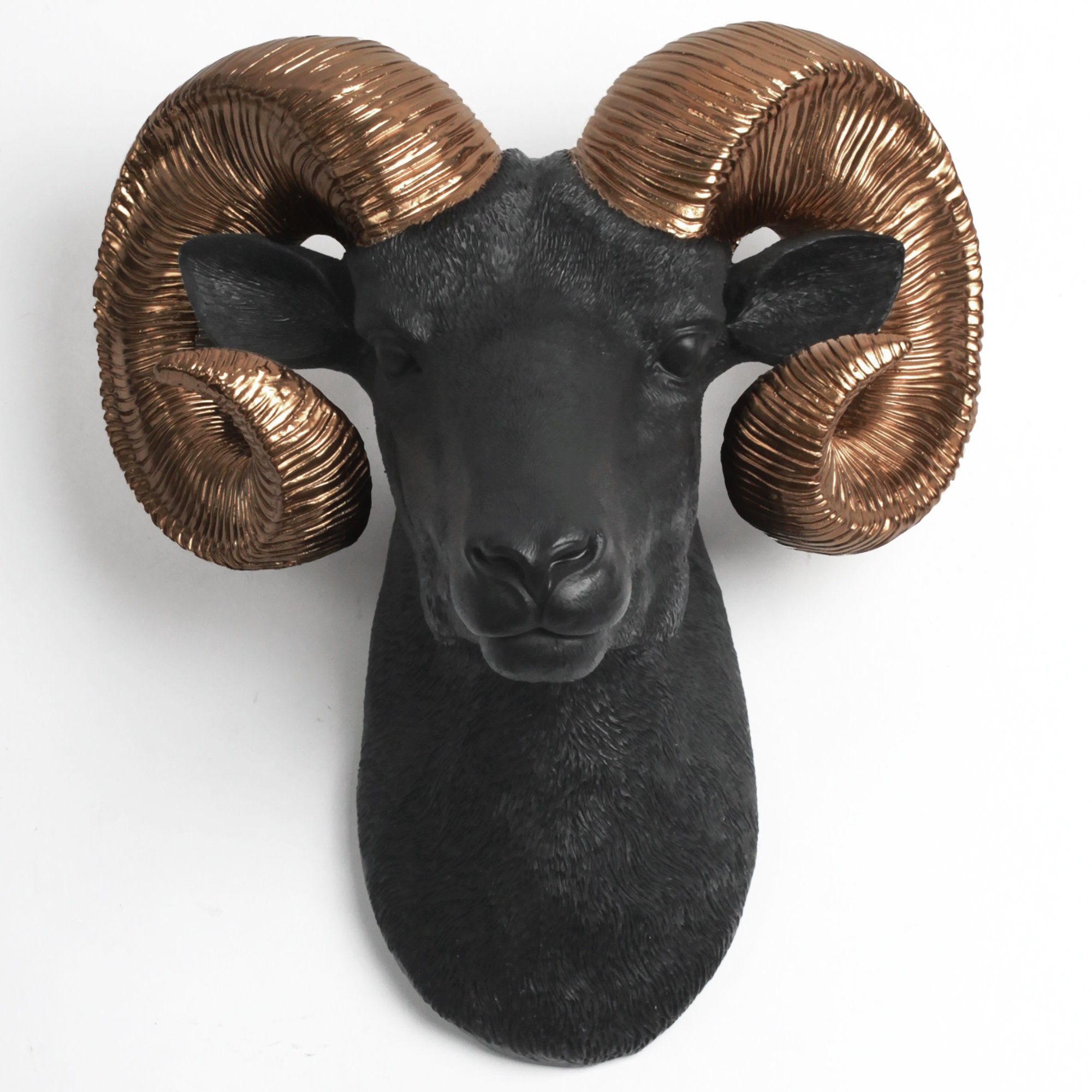 xl Black Ram Head Wall Mount with Bronze Horns - The Darby Rustic Bighorn Sheep/Ram, Modern Farmhouse Home Decor By White Faux Taxidermy