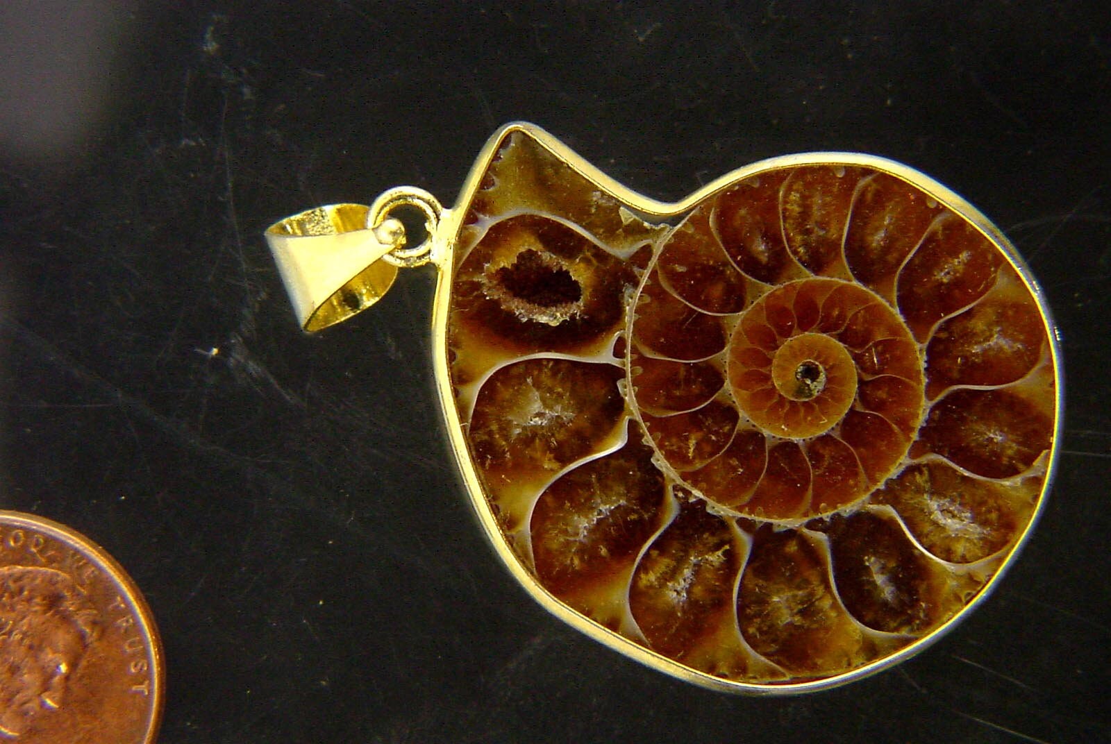Gold Plated Ammonite Nautiloid Fossil Pendant Necklace Jewelry With 24 Gp Chain 7255P