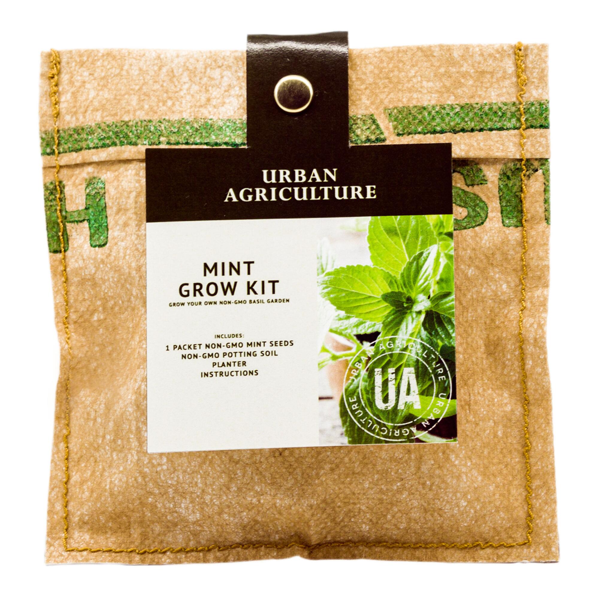 Urban Agriculture Mint Grow Bag Kit by World Market