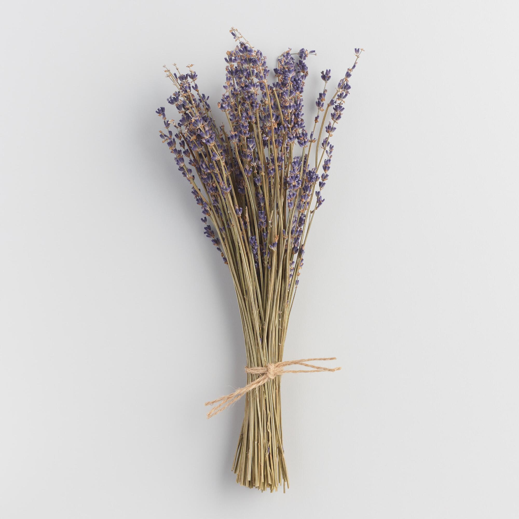 Lavender Bunch: Purple by World Market