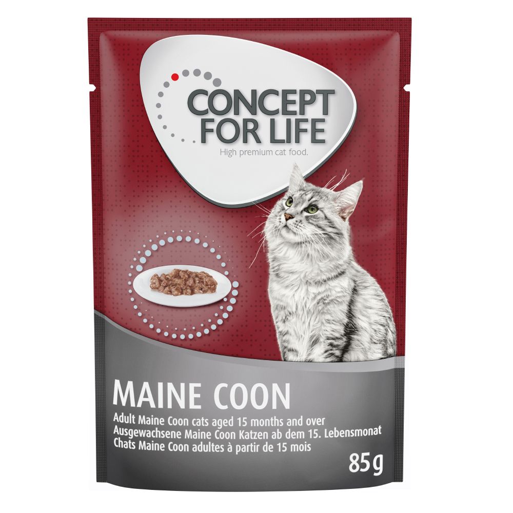 Concept for Life Maine Coon Adult - in Ragout - 12 x 85g