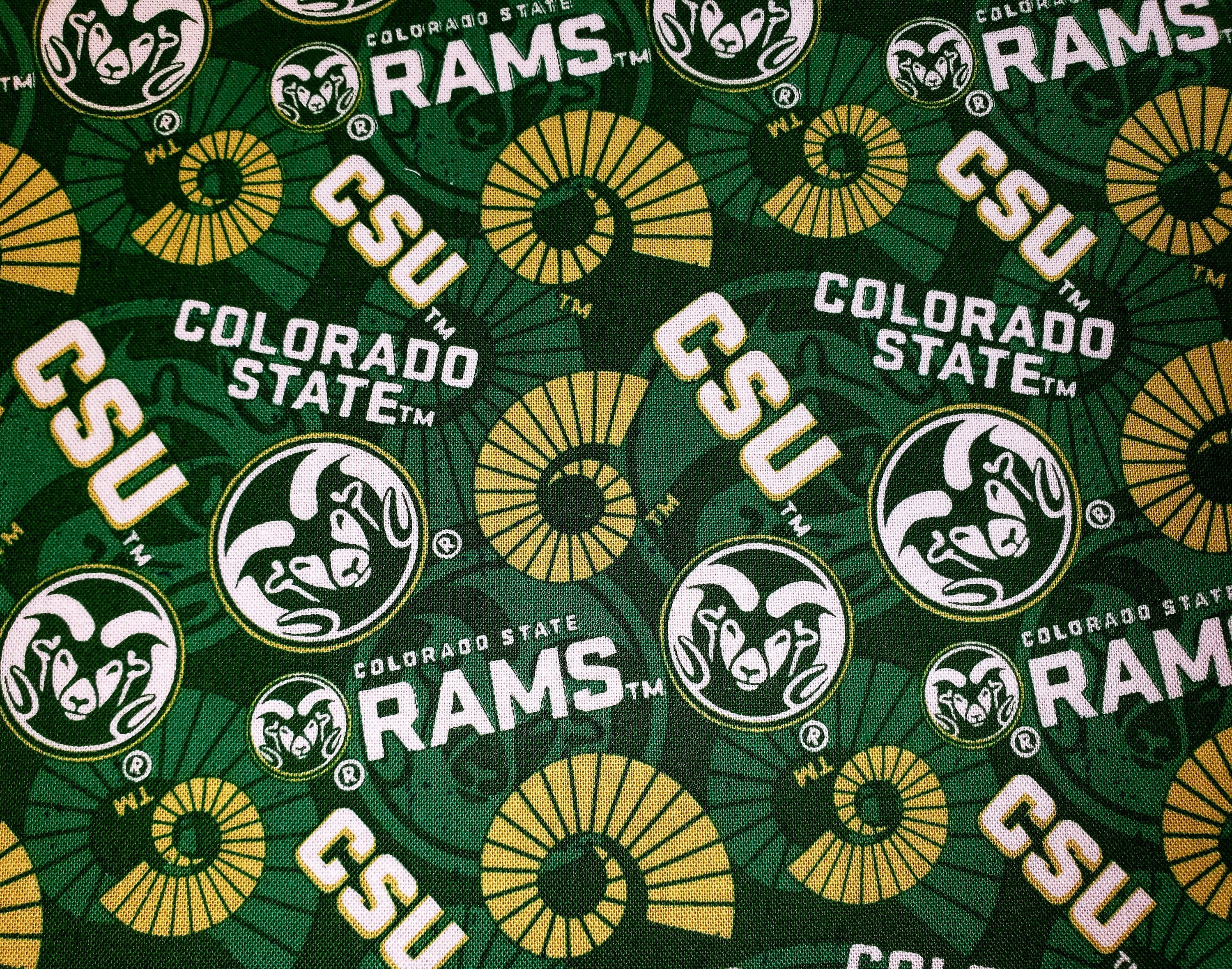 Colorado State University Csu Rams Washable Reusable Face Mask, Graduation, Reunion, Tailgate, With Comfort Clip & Free Shipping