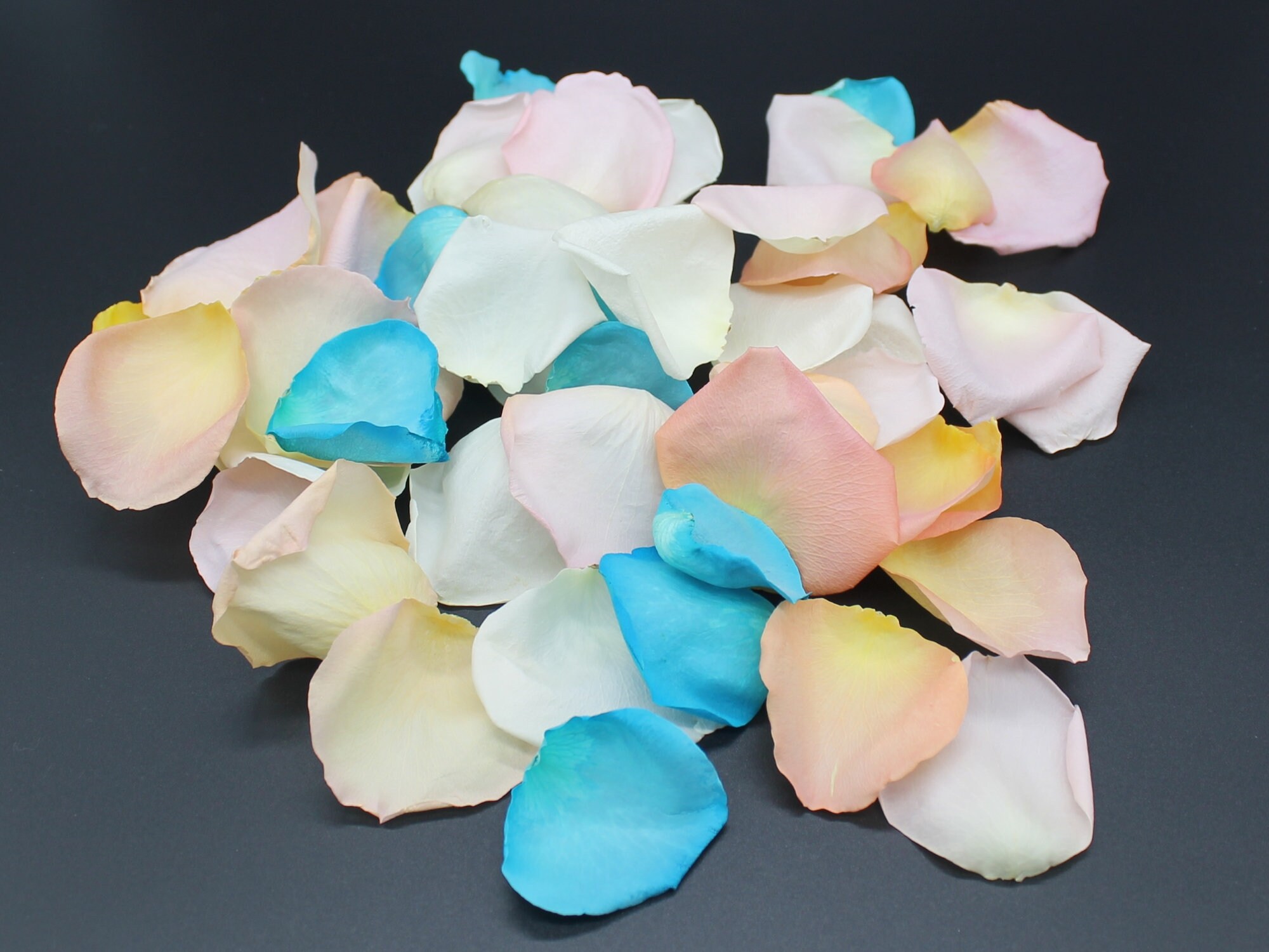 Rose Petals, Beach Blend, Real Freeze Dried Rose Petals, Perfectly Preserved