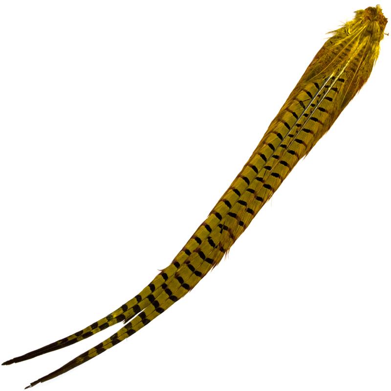 Cock Pheasant Complete Tails Dyed Yellow Fasan halefjær komplett fra Veniard