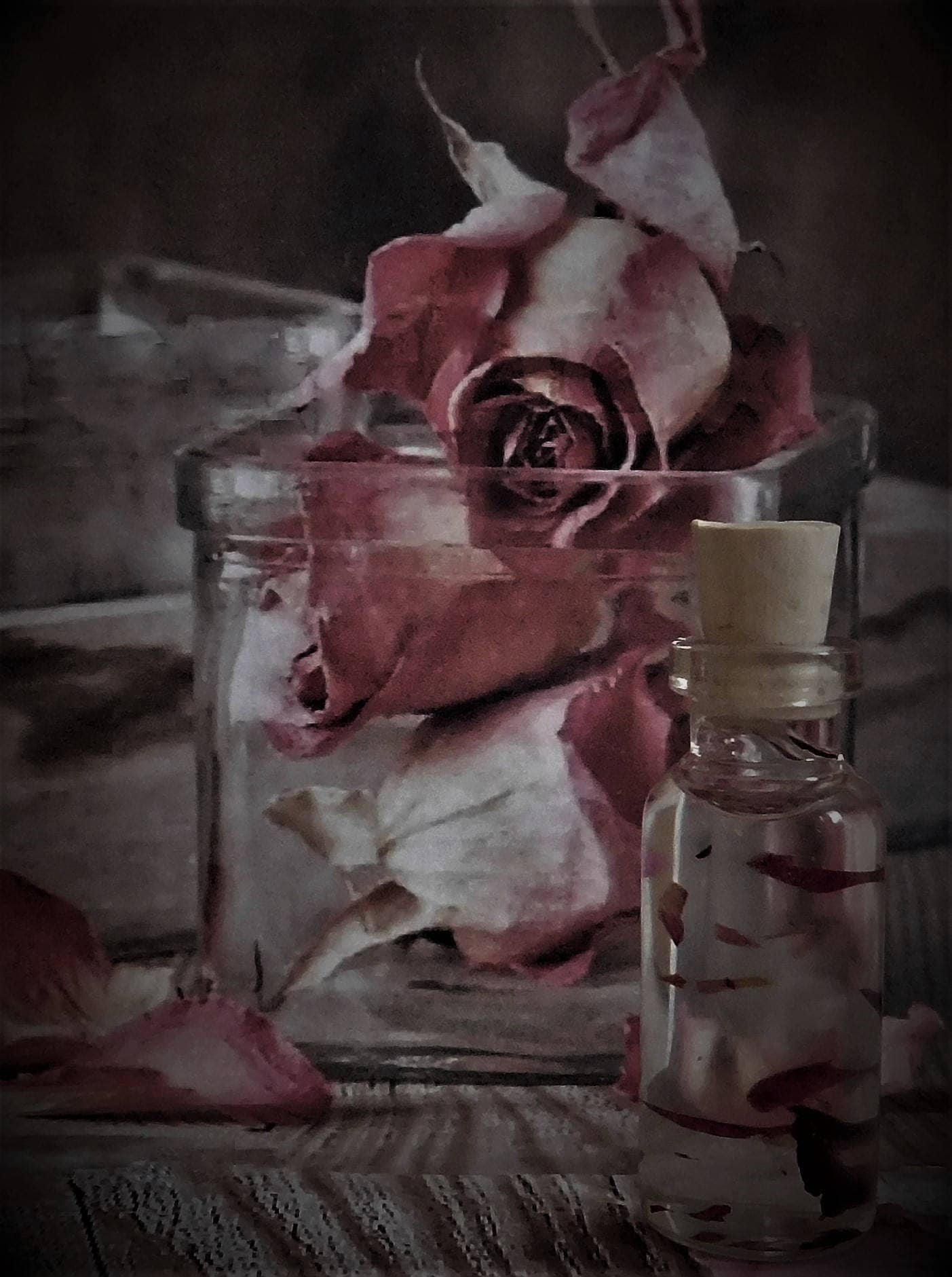 Pink Roses Crafted Oil Blend, Ritual Oil, Anointing Potion, Spell Fragrance Wicca, Witchcraft, Pagan ~ The Beach Witch