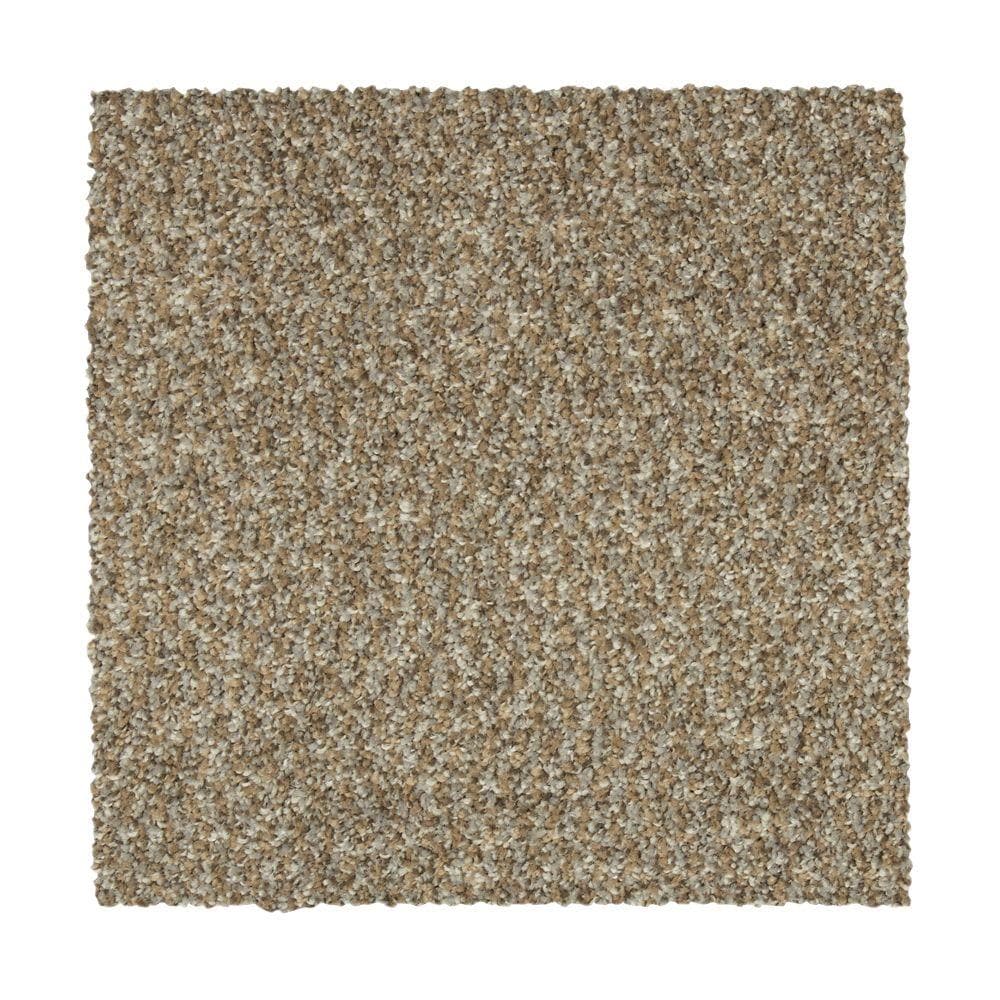 STAINMASTER Essentials Vibrant blend II Cancun Textured Carpet (Indoor) Polyester in Brown | STP33-12-L003
