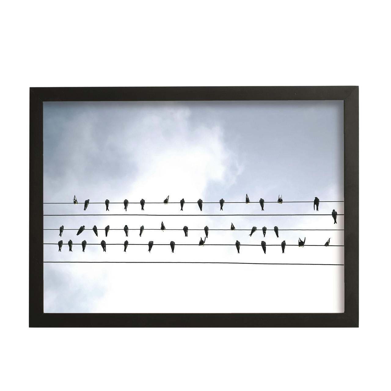 SINNERUP Billedramme Birds on Wire (SORT M)