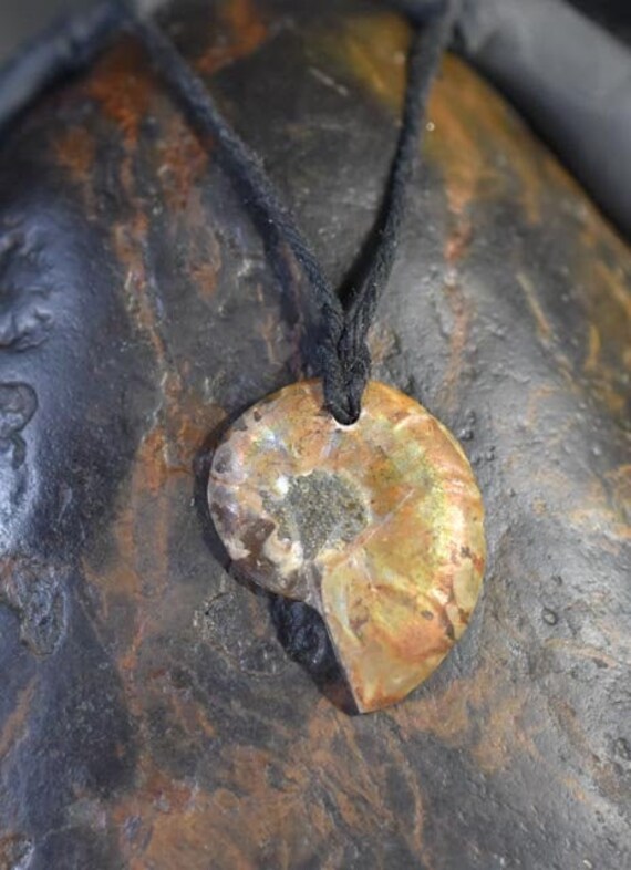 Ammonite Fossil Pendant Necklace, Pendant, Necklace