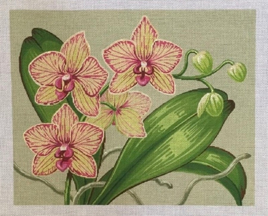 Needlepoint Handpainted Labors Of Love Orchids 15x12 -Free Us Shipping