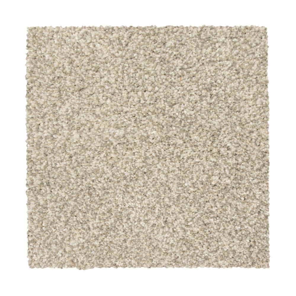 STAINMASTER Vibrant Blend I BIRD BATH Carpet Sample Polyester in Gray | STP32-L001-0808