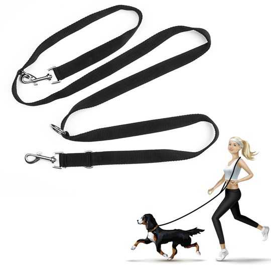 Double best sale leash training