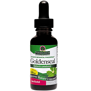 Goldenseal - Super Concentrated with Low Alcohol - 500 MG (1 Fluid Ounce)