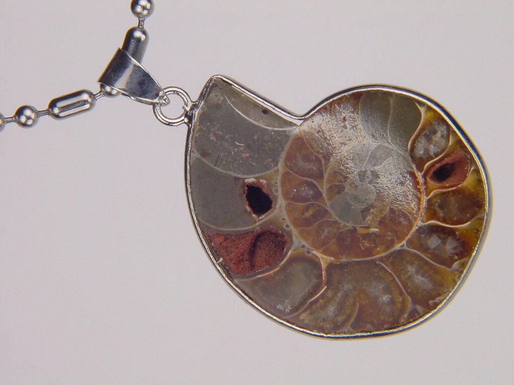 Silver Ammonite Nautiloid Fossil Pendant Necklace Jewelry With 24 Chain 6175K