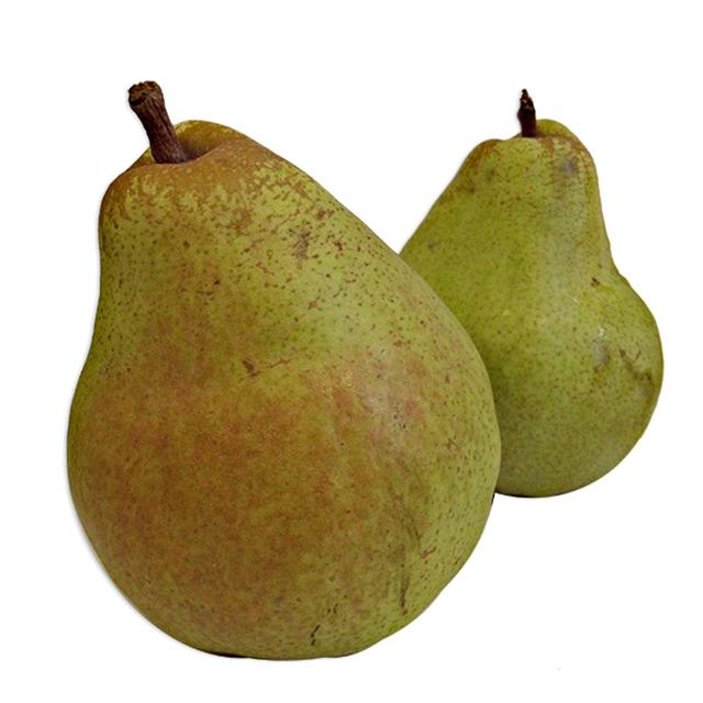 Natoora British Comice Pears
