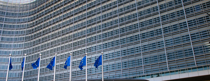 European Commission Adopts Revised ESRS and Voluntary Standard