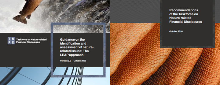 TNFD Updates Its Recommendations and LEAP Guidance