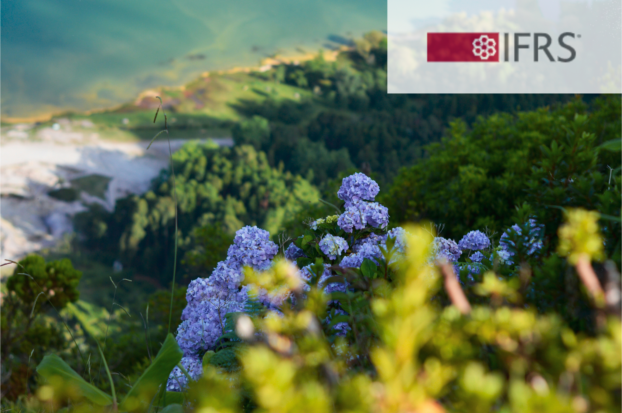 ISSB Brings Nature Into IFRS Reporting