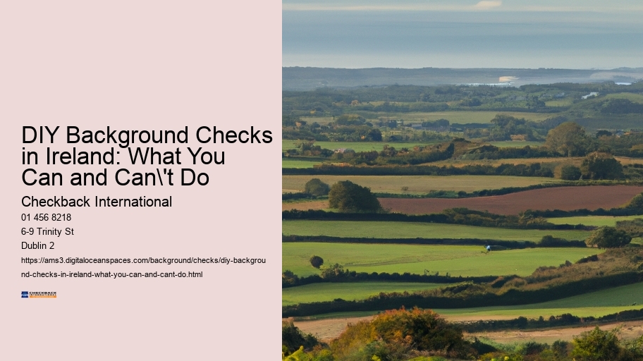 DIY Background Checks in Ireland: What You Can and Can't Do