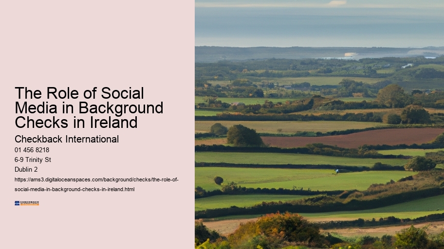 The Role of Social Media in Background Checks in Ireland