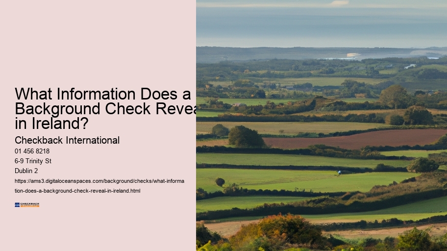 What Information Does a Background Check Reveal in Ireland?