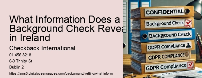 What Information Does a Background Check Reveal in Ireland