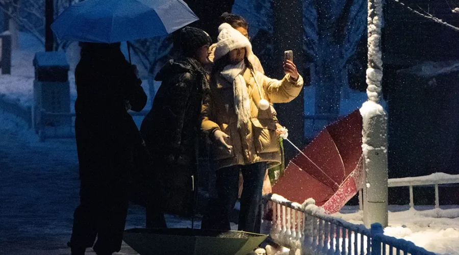 Santa Search Santa Search