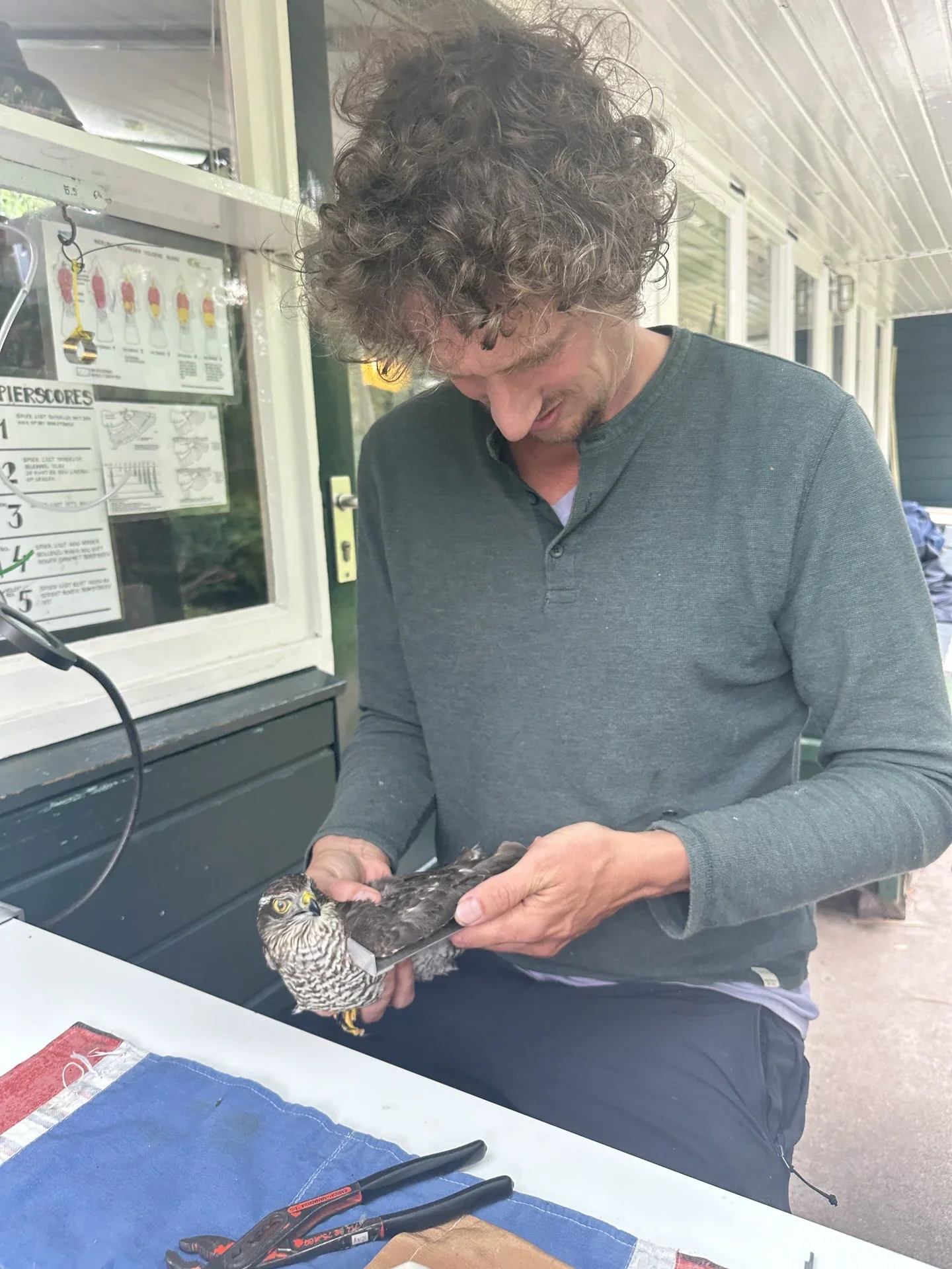 Vogelafbeelding