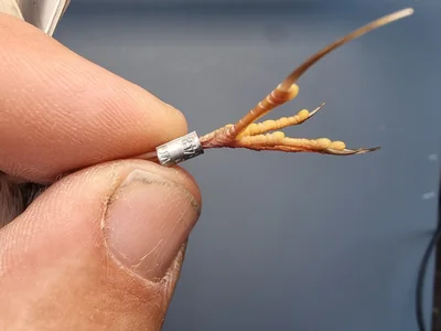 Graspieper — Anthus pratensis, 1e kalenderjaar, 18 okt 2025, Graspieperbaan Eemshaven Oost
