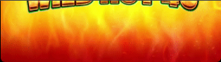 Wild Hot 40,