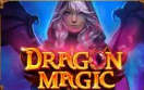 Dragon Magic -