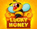 Lucky Honey -