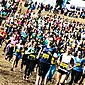 9 races this spring: marathons, half marathons, cross-country runs and distance for beginners