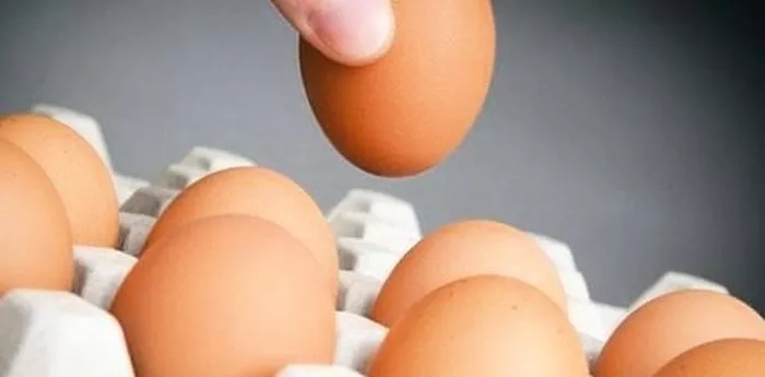 Lære å sjekke egg for friskhet