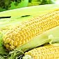 Sekrety uprawy kukurydzy na wsi