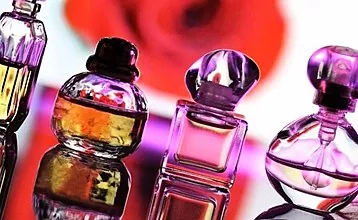 Musk dalam minyak wangi terpilih: bagaimana ia diekstrak dan seperti apa baunya?